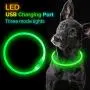 BSEEN LED Dog Collar, USB Rechargeable, Glowing Pet Dog Collar for Night Safety, Fashion Light up Collar for Small Medium Large dogs BSEEN LED Dog Collar, USB Rechargeable, Glowing Pet Dog Collar for Night Safety, Fashion Light up Collar for Small Medium Large dogs