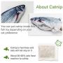 Hewewor Electric Moving Fish Cat Toy,Zippered Style Wiggle Fish Catnip Toys USB Rechargeable Plush Interactive Realistic Flopping Fish for Cat Playing,Biting and Chewing