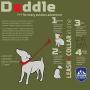 Himalayan Pet Supply Doddle | Retractable Leash and Collar in One | Fear Free | X-Small | 11-12" Neck, Red (551016)