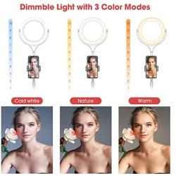 8" Selfie Ring Light with Stand & Cell Phone Holder for Live Stream/Makeup, Beemoon Mini Desk Led Camera Ringlight for YouTube Video/Photography Compatible with iPhone Xs Max XR Android (2020 Version)