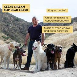 Cesar Millan Slip Lead Leash - Slip Collar Training Lead Gives You Greater Control The Ability to Make Quick Gentle Corrections