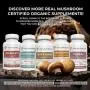 Lions Mane Mushroom Cognition Capsules 120 Caps each, Organic Lions Mane Mushroom Powder Extract Capsules Brain Supplement, 60Day Supply Organic Mushroom Supplement Brain Vitamins Focus Supplement Lions Mane Mushroom Cognition Capsules 120 Caps each, Organic Lions Mane Mushroom Powder Extract Capsules Brain Supplement, 60Day Supply Organic Mushroom Supplement Brain Vitamins Focus Supplement