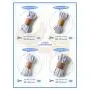 Elastic String for Masks, HONYAR 1/3 inch Width 22-Yard Length Braided Flat Elastic Band for Sewing for Mask - Elastic String Cord Heavy Stretch Knit (White) Elastic String for Masks, HONYAR 1/3 inch Width 22-Yard Length Braided Flat Elastic Band for Sewing for Mask - Elastic String Cord Heavy Stretch Knit (White)