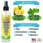 Bodhi Dog Bitter Lemon Spray | Stop Biting and Chewing for Puppies Older Dogs and Cats | Anti Chew Spray Puppy Kitten Training Treatment | 100% Non Toxic | Made in USA