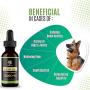 Billion Pets - Hemp Oil for Dogs Cats - Separation Anxiety, Joint Pain, Stress Relief, Arthritis, Seizures, Chronic Pains, Anti-Inflammatory - Omega 3, 6, 9-100% Organic - Calming Drops