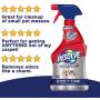 Resolve Pet Carpet Spot & Stain Remover Spray, 22oz (Pack of 2)