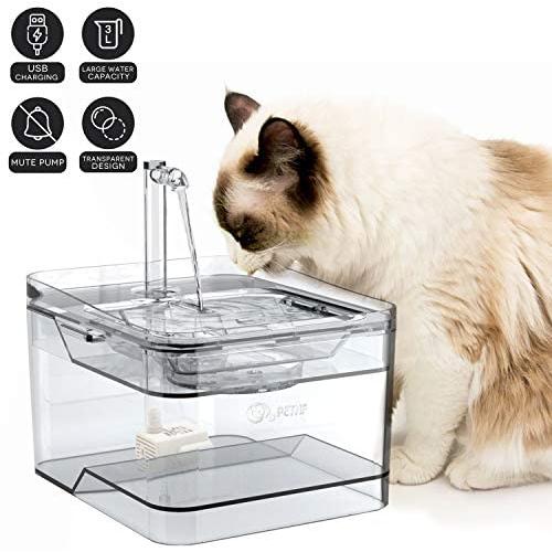 petnf 2020 Newest Upgraded Cat Fountain for Pet 100oz/3L,Dog Cat Water Fountain,Automatic Drinking Fountain,Dog Water Dispenser,Ultra Quiet, Adjustable Water Flow,Activated Carbon petnf 2020 Newest Upgraded Cat Fountain for Pet 100oz/3L,Dog Cat Water Fountain,Automatic Drinking Fountain,Dog Water Dispenser,Ultra Quiet, Adjustable Water Flow,Activated Carbon