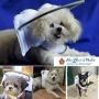 Muffin’s Halo Blind Dog Harness Guide Device – Help for Blind Dogs or Visually Impaired Pets to Avoid Accidents & Build Confidence – Ideal Blind Dog Accessory to Navigate Surroundings