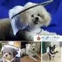 Muffin’s Halo Blind Dog Harness Guide Device – Help for Blind Dogs or Visually Impaired Pets to Avoid Accidents & Build Confidence – Ideal Blind Dog Accessory to Navigate Surroundings
