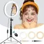 Desktop LED Ring Light 10’’ with Adjustable Tripod Stand and Phone Holder, TBJSM Dimmable Selfie Ring Light for Makeup, TikTok, Live Streaming and YouTube Video Shooting
