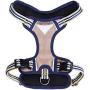 Blueberry Pet 15+ Colors Safe & Comfy Reflective Multi-Colored Stripe Collection - Collars, Harnesses, Leashes, Seatbelts for Dogs, Matching Lanyards for Pet Lovers