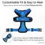 rabbitgoo Cat Harness and Leash for Walking, Escape Proof Soft Adjustable Vest Harnesses for Medium Large Cats, Easy Control Breathable Pet Safety Jacket with Reflective Strips & 1 Metal Leash Ring rabbitgoo Cat Harness and Leash for Walking, Escape Proof Soft Adjustable Vest Harnesses for Medium Large Cats, Easy Control Breathable Pet Safety Jacket with Reflective Strips & 1 Metal Leash Ring