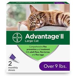 Advantage II 2-Dose Flea Prevention and Treatment for Large Cats, Over 9 Pounds