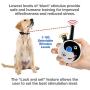 Educator E-Collar Remote Dog Training Collar