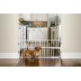 Carlson Pet Products Lil Tuffy Expandable Gate with Small Pet Door
