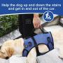 COODEO Dog Lift Harness, Full Body Support & Recovery Sling, Pet Rehabilitation Lifts Vest Adjustable Breathable Straps for Old, Disabled, Joint Injuries, Arthritis, Paralysis Dogs Walk