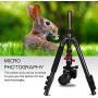 ZOMEi M5 Camera Tripod Lightweight Travel Tripod Monopod 2 in 1 Portable Camera Tripod Stand with 360 Degree Ball Head, Remote Bluetooth and Phone Clip for Cameras, Smartphone