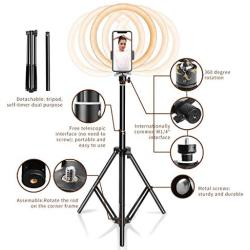 Ring Light 10" with Tripod Stand & Phone Holder for YouTube Video, Desktop Camera Led Ring Light for Streaming, Makeup, Selfie Photography Compatible with iPhone Android