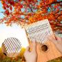 Kalimba,17 Key Kalimba Thumb Piano, Mahogany Wood Music Instrument Finger Piano with Tuning Hammer for kids Adult Beginners, Christmas perfect gifts Ideal for Friend, Family, Lover (C Tone) Mbira