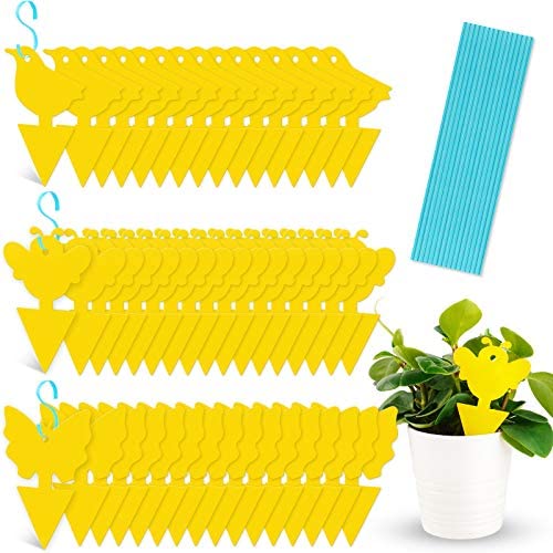 NiHome 48-Pack Sticky Plant Bug Trap Indoor Outdoor Yellow Flying Insect Killer Glue Pest Control Fungus Gnat Fruit Fly Catcher Nontoxic Pesticide-Free Odorless Home Garden Plant Protection Attom