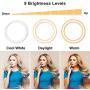 Selfie Ring Light with Stand, 10 inch 28 Color RGB Circle Light with Wireless Remote Control, LED Desk Ringlight with Tripod and Phone Holder for YouTube Video, Makeup, Live Stream, Photography