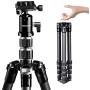 K&F Concept 61" Carbon Fiber Camera Tripod,B210 Professional Lightweight Compact Tripod with 2 Sections Central Column 360 Degree Ball Head and Carrying Case for Digital Camera/Camcorder