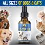 Hemp Oil for Dogs and Cats | The Perfect Hemp for Dogs with Anxiety and Mobility Issues| Updated 2.0 Formula Hemp Mobility for Dogs All Natural Pain Relief for Dogs, Calming, Hip, and Joint (500mg)