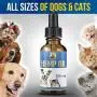 Hemp Oil for Dogs and Cats | The Perfect Hemp for Dogs with Anxiety and Mobility Issues| Updated 2.0 Formula Hemp Mobility for Dogs All Natural Pain Relief for Dogs, Calming, Hip, and Joint (500mg)