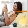 Alarm Clock,Wellwerks Wake up Light Sleep Aid Digital Alarm Clock with Dual Alarms Soonze Function, 7 Colors FM Radio, Dimmable Bedside Lamp Compatible with Alexa and Smart Phone Application Alarm Clock,Wellwerks Wake up Light Sleep Aid Digital Alarm Clock with Dual Alarms Soonze Function, 7 Colors FM Radio, Dimmable Bedside Lamp Compatible with Alexa and Smart Phone Application