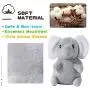 LEGEND SANDY Squeaky Dog Toys for Puppy Small Medium Dogs, Stuffed Samll Dog Toys Bulk with 12 Plush Pet Dog Toy Set, Cute Safe Dog Chew Toys Pack for Puppies Teething