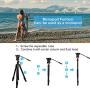 Fluid Head Tripod, COMAN Video Tripod Aluminium Alloy 70.8 inch for Canon Nikon Sony DSLR Camera
