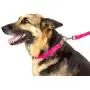 Country Brook Design - Vibrant 25 Color Selection - 1 Inch Nylon Dog Leash Country Brook Design - Vibrant 25 Color Selection - 1 Inch Nylon Dog Leash