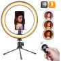 10" Desktop Selfie Ring Light,Villsure LED Makeup Ring Light with Phone Holder & Remote for YouTube Video,Dimmable Desk Ringlight Kit for Photography with 3 Light Modes and 10 Brightness Level