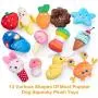 Dono Squeaky Plush Dog Toys-Pet Pack for Puppy Cute Toys Small Stuffed Puppy Chew Interactive Doggie Toys 13 Pack Tooth Grinding & Training Pet Toy Supplies for Medium to Small Dogs