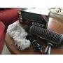 Rode Blimp Windshield and Rycote Shock Mount Suspension System for Shotgun Microphones