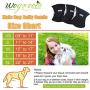 wegreeco Washable Male Dog Diapers (Pack of 3) - Washable Male Dog Belly Wrap