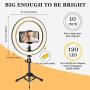 10 inch Selfie Ring Light with Metal Tripod Stand & Phone Holder for Live Streaming & Tiktok,YouTube Video,Desktop Camera Led Lights Compatilble with iPhone Aandroid