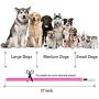 LED Dog Collar,USB Rechargeable Glowing Dog Collars, Light Up Collar Improved Pet Safety &Visibility at Night, 3 Flashing Modes,Water-Resistant Lighted Collar Fits For Small Medium Large Dogs