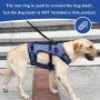 COODEO Dog Lift Harness, Full Body Support & Recovery Sling, Pet Rehabilitation Lifts Vest Adjustable Breathable Straps for Old, Disabled, Joint Injuries, Arthritis, Paralysis Dogs Walk