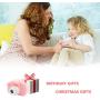 Kids Digital Camera,MERLINAE Mini Video with 2.0 inch Screen for Children Birthday Gift,Children Toy Action Toddler Recorder 1080P for Boys Girls Age 3-12 Education Pink