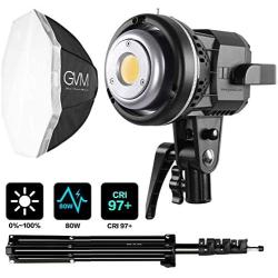 GVM 80W Video Lighting Kit, Continuous Output Lighting Kit, Professional Studio Photography Softbox Lighting Kit, 5600K Day Light LED Video Light Bowens Mount for Portrait Product Fashion Photography