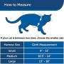 PetSafe Come with Me Kitty Harness and Bungee Leash, Harness for Cats