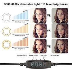 12 Ring Light Kit, LED Beauty Light with 62 Selfie Stand & Cell Phone Mount, Dimmable LED Lamp for Makeup Video Photography Vlogging Blogging Portrait