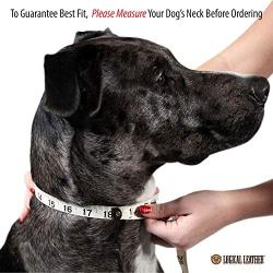 Logical Leather Padded Dog Collar - Best Full Grain Heavy Duty Genuine Leather Collars