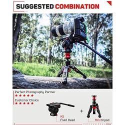 IFOOTAGE Tabletop Tripod, Portable Desktop Mini Tripod Stand with 3/8 and 1/4 inches Quick Release Plate, Max Load 17.6 lbs for DSLR Camera, Video Camcorder, Mobile Phone and Action Cameras