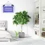 ASPECTEK Powerful 20W Electronic Insect Indoor Killer, Bug Zapper, Fly Zapper, Mosquito Killer-Indoor Use Including Free 2 PACK Replacement Bulbs ASPECTEK Powerful 20W Electronic Insect Indoor Killer, Bug Zapper, Fly Zapper, Mosquito Killer-Indoor Use Including Free 2 PACK Replacement Bulbs