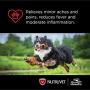 Nutri-Vet Asprin Chewables for Large Dogs | Relieves Pain and Inflamation | 75 Count