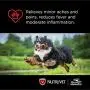 Nutri-Vet Asprin Chewables for Large Dogs | Relieves Pain and Inflamation | 75 Count Nutri-Vet Asprin Chewables for Large Dogs | Relieves Pain and Inflamation | 75 Count