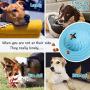 Wisedom Interactive Dog Toy IQ Treat Ball Food Dispensing Puzzle Toy for Medium Large Dogs Playing Chasing Chewing