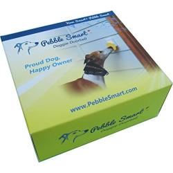 Pebble Smart Doggie Doorbell